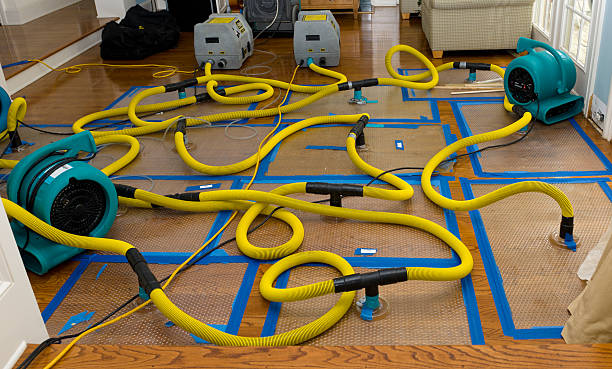 Professional Water Damage Repair technician working in Hollywood, FL